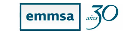 EMMSA IT Services